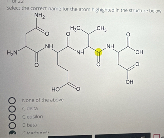 of 22
Select the correct name for the atom highighted in the structure below
None of the above
C delta
C epsilon
C beta
C (carbonvl)