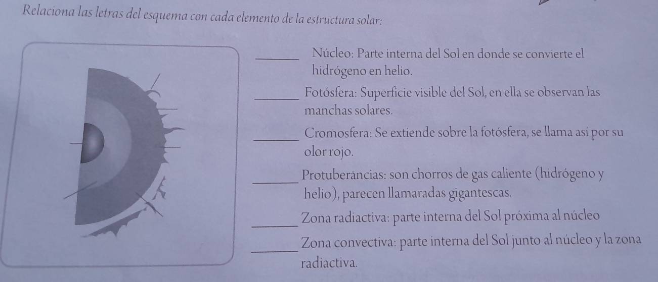 Relaciona las letras del esquema con cada elemento de la estructura solar: 
_Núcleo: Parte interna del Sol en donde se convierte el 
hidrógeno en helio. 
_Fotósfera: Superficie visible del Sol, en ella se observan las 
manchas solares. 
_Cromosfera: Se extiende sobre la fotósfera, se llama así por su 
olor rojo. 
_ 
Protuberáncias: son chorros de gas caliente (hidrógeno y 
helio), parecen llamaradas gigantescas. 
_ 
Zona radiactiva: parte interna del Sol próxima al núcleo 
_ 
Zona convectiva: parte interna del Sol junto al núcleo y la zona 
radiactiva.