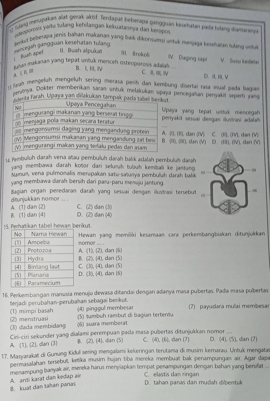 Tulang merupakan alat gerak aktif. Terdapat beberapa gangguan kesehatan pada tulang diantaranya
osteoporosis yaitu tulang kehilangan kekuatannya dan keropos 
Berikut beberapa jenis bahan makanan yang baik dikonsumsi   t   mnj    shta  t la   un t 
1. Buah apel mencegah gangguan kesehatan tulang:
II. Buah alpukat III. Brokoli IV. Daging sapi V. Susu kedelai
Bahan makanan yang tepat untuk menceh osteoporosis adalah ,,.
A. I, II, III
B. I, III, IV C. II, III, IV D. II, ⅢIi, V
13. Farah mengeluh mengeluh sering merasa perih dan kembung disertai rasa mual pada bagian
perutnya. Dokter memberikan saran untuk melakukan upaya pencegahan penyakit seperti yang
Farah. Upaya yan dilakukan tam
aya yang tepat untuk mencegah
yakit sesuai dengan ilustrasi adalah
(1),(11) dan (IV) C. (11),(1V) , dan (V)
(11),(111) , dan (V) D. (III),(IV ), dan (V)
14. Pembuluh darah vena atau pembuluh darah balik adalah pembuluh darah
yang membawa darah kotor dari seluruh tubuh kembali ke jantung.
Namun, vena pulmonalis merupakan satu-satunya pembuluh darah balik
yang membawa darah bersih dari paru-paru menuju jantung.
Bagian organ peredaran darah yang sesuai dengan ilustrasi tersebut
ditunjukkan nomor ... .
A. (1) dan (2) C. (2) dan (3)
B. (1) dan (4) D. (2) dan (4)
15. Perhatikan tabel hewan berikut.
Hewan yang memiliki kesamaan cara perkembangbiakan ditunjukkan
nomor ... .
A. (1), (2), dan (6)
B. (2), (4), dan (5)
C. (3), (4), dan (5)
D. (3), (4), dan (6)
16. Perkembangan manusia menuju dewasa ditandai dengan adanya masa pubertas. Pada masa pubertas
terjadi perubahan-perubahan sebagai berikut.
(1) mimpi basah (4) pinggul membesar (7) payudara mulai membesar
(2) menstruasi (5) tumbuh rambut di bagian tertentu
(3) dada membidang (6) suara memberat
Ciri-ciri sekunder yang dialami perempuan pada masa pubertas ditunjukkan nomor ....
A. (1), (2), dan (3) B. (2), (4), dan (5) C. (4), (6), dan (7) D. (4), (5), dan (7)
17. Masyarakat di Gunung Kidul sering mengalami kekeringan terutama di musim kemarau. Untuk mengatas
permasalahan tersebut, ketika musim hujan tiba mereka membuat bak penampungan air. Agar dapa
menampung banyak air, mereka harus menyiapkan tempat penampungan dengan bahan yang bersifat ...
A. anti karat dan kedap air
C. elastis dan ringan
B. kuat dan tahan panas
D. tahan panas dan mudah dibentuk