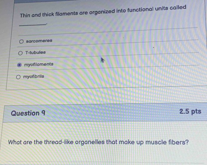 Thin and thick filaments are organized into functional units called
_.
sarcomeres
T-tubules
myofilaments
myofibrils
Question 9 2.5 pts
What are the thread-like organelles that make up muscle fibers?