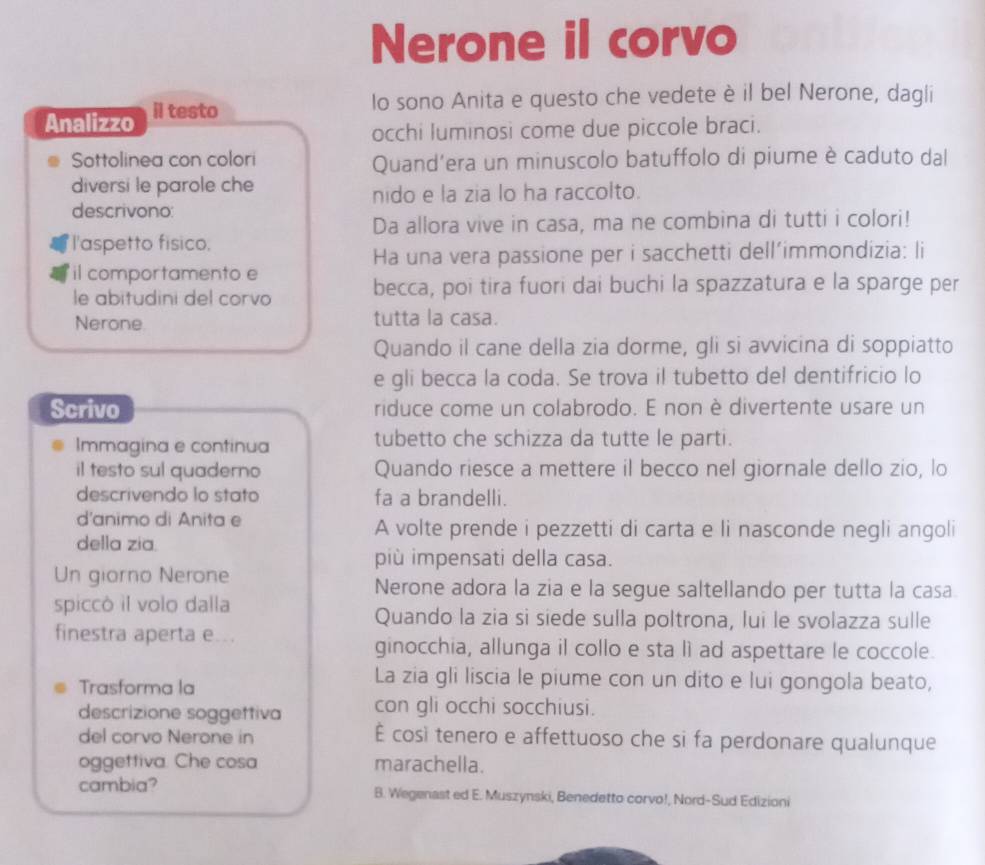 Nerone il corvo
lo sono Anita e questo che vedete è il bel Nerone, dagli
Analizzo il testo
occhi luminosi come due piccole braci.
Sottolinea con colori Quand’era un minuscolo batuffolo di piume è caduto dal
diversi le parole che
nido e la zia lo ha raccolto.
descrivono:
Da allora vive in casa, ma ne combina di tutti i colori!
l'aspetto físico.
Ha una vera passione per i sacchetti dell’immondizia: li
il comportamento e
le abitudini del corvo becca, poi tira fuori dai buchi la spazzatura e la sparge per
Nerone tutta la casa.
Quando il cane della zia dorme, gli si avvicina di soppiatto
e gli becca la coda. Se trova il tubetto del dentifricio lo
Scrivo riduce come un colabrodo. E non è divertente usare un
Immagina e continua tubetto che schizza da tutte le parti.
il testo sul quaderno Quando riesce a mettere il becco nel giornale dello zio, lo
descrivendo lo stato fa a brandelli.
d'animo di Anita e A volte prende i pezzetti di carta e li nasconde negli angoli
della zia.
più impensati della casa.
Un giorno Nerone Nerone adora la zia e la segue saltellando per tutta la casa
spiccò il volo dalla
Quando la zia si siede sulla poltrona, lui le svolazza sulle
finestra aperta e...
ginocchia, allunga il collo e sta lì ad aspettare le coccole.
Trasforma la
La zia gli liscia le piume con un dito e lui gongola beato,
descrizione soggettiva con gli occhi socchiusi.
del corvo Nerone in É così tenero e affettuoso che si fa perdonare qualunque
oggettiva. Che cosa marachella.
cambia? B. Wegenast ed E. Muszynski, Benedetto corvo!, Nord-Sud Edizioni