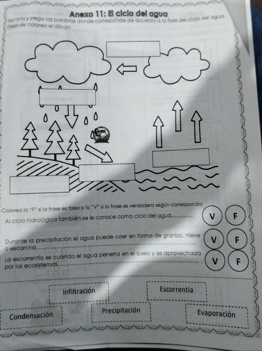 Anexo 11: El ciclo del agua
* Recorta y pega las palabras donde corresponde de acuerdo a la fase del cicio del agua.
Después colorea el dibujo:
Colorea la ''F'' si la frase es falsa o la 'V' si la frase es verdadera según corresponda:
Al ciclo hidrológico también se le conoce como ciclo del agua._
V F
Durante la precipitación el agua puede caer en forma de granizo, nieve
o escarcha_ V F
La escorrentía es cuando el agua penetra en el suelo y es aprovechada
por los ecosistemas.
_V F
_
Infiltración Escorrentía
Precipitación
Condensación Evaporación