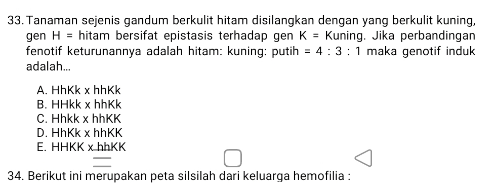 Tanaman sejenis gandum berkulit hitam disilangkan dengan yang berkulit kuning,
gen H= hitam bersifat epistasis terhadap gen K= Kuning. Jika perbandingan
fenotif keturunannya adalah hitam: kuning: putih =4:3:1 maka genotif induk
adalah...
A. HhKk x hhKk
B. HHkk x hhKk
C. Hhkk x hhKK
D. HhKk x hhKK
E. HHKK x hhKK
=
34. Berikut ini merupakan peta silsilah dari keluarga hemofilia :