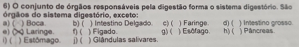 conjunto de órgãos responsáveis pela digestão forma o sistema digestório. São
órgãos do sistema digestório, exceto:
a) ( ) Boca. b)( ) Intestino Delgado. c) ( ) Faringe.
e) C Laringe. f)( ) Figado. g)( ) Esôfago. h) ( d)( ) Intestino grosso. ) Pâncreas.
i) ( ) Estómago. j) ( ) Glândulas salivares