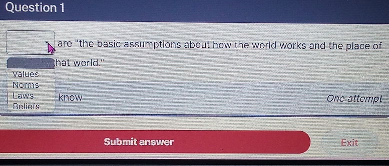 are "the basic assumptions about how the world works and the place of 
that world." 
Values 
Norms 
Laws know One attempt 
Beliefs 
Submit answer Exit