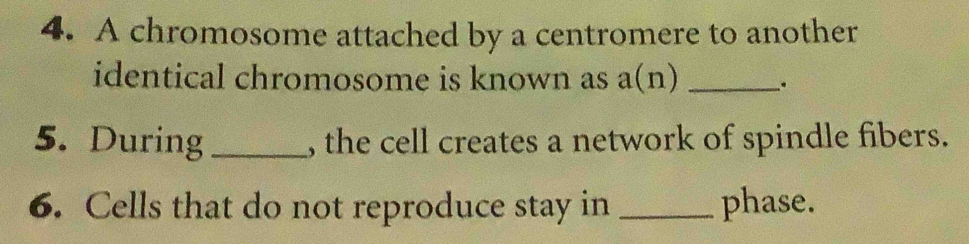 A chromosome attached by a centromere to another 
identical chromosome is known as a(n)_ 
. 
5. During_ , the cell creates a network of spindle fibers. 
6. Cells that do not reproduce stay in _phase.