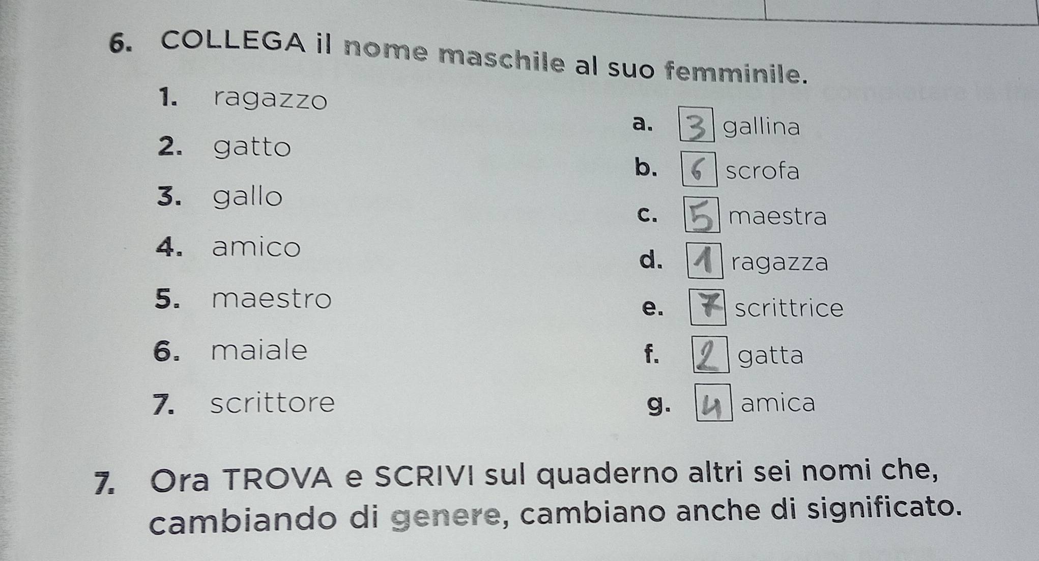Risolto:COLLEGA il nome maschile al suo femminile. 1. ragazzo a ...