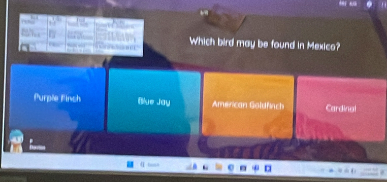 Which bird may be found in Mexico?
Purple Finch Blue Jay Américan Göldfinch Cardinal