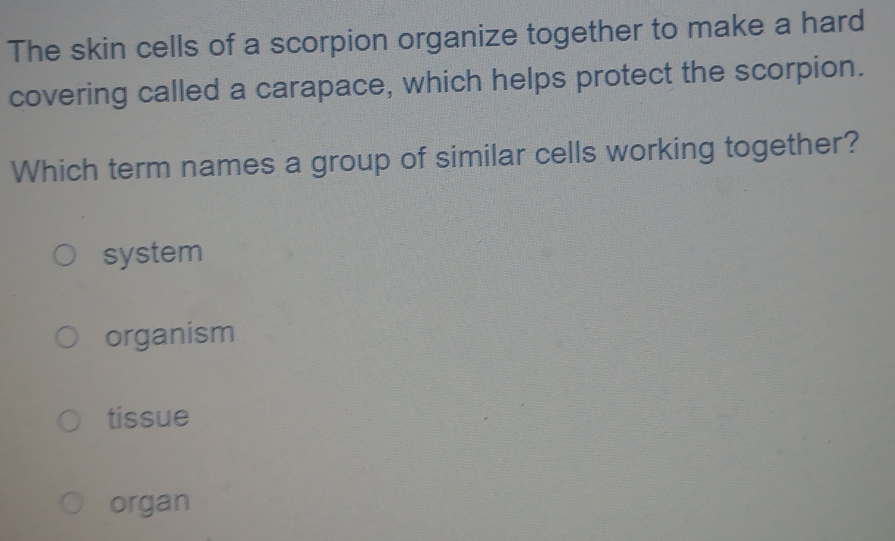 The skin cells of a scorpion organize together to make a hard
covering called a carapace, which helps protect the scorpion.
Which term names a group of similar cells working together?
system
organism
tissue
organ