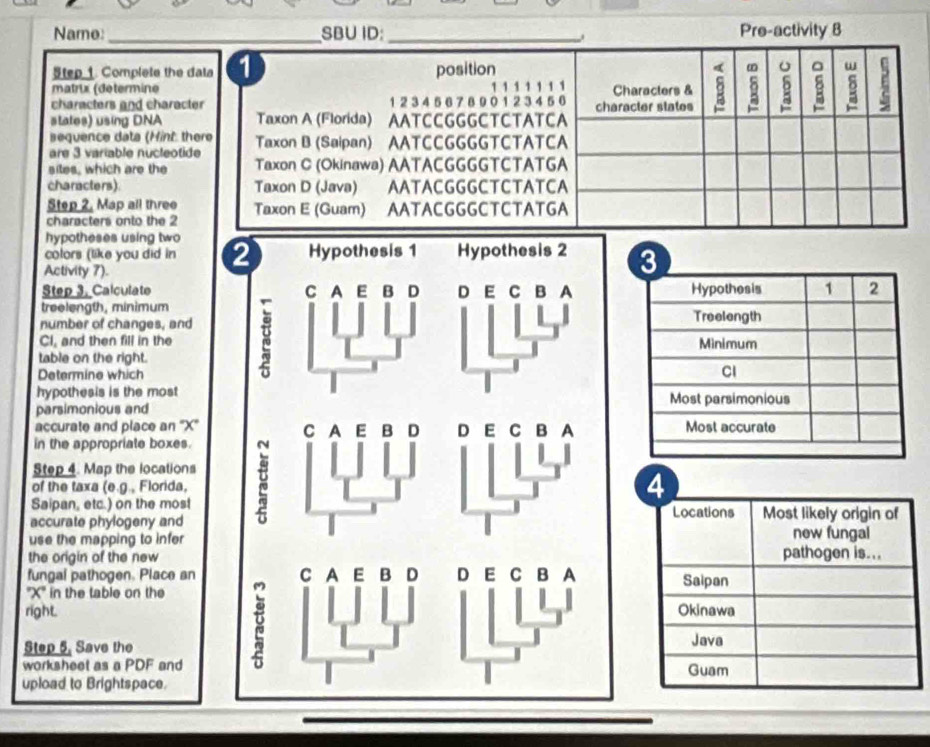 Name _SBU ID:_ Pre-activity 8
tep 1 Complete the dala 1 position m 。 w 
matrix (determine Characters & 5 8 g
characters and character 1 23 4 5 6 7 8 9 0 1 2 34 56 1 1 1 1 1 ' 1 character states
states) using DNA Taxon A (Florida) AATCCGGGCTCTATCA
sequence data (Hint: there Taxon B (Saipan) AATCCGGGGTCTATCA
are 3 variable nucleotide
sites, which are the Taxon C (Okinawa) AATACGGGGTCTATGA
characters) Taxon D (Java) AATACGGGCTCTATCA
Step 2. Map all three Taxon E (Guam) AATACGGGCTCTATGA
characters onto the 2
hypotheses using two
colors (like you did in 
Activity 7).
Step 3. Calculate
treelength, minimum
number of changes, and 
Cl, and then fill in the
table on the right.
Determine which
hypothesis is the most
parsimonious and
accurate and place an '' X '' 
in the appropriate boxes.
Step 4. Map the locations
of the taxa (e.g., Florida,
Saipan, etc.) on the most
accurate phylogeny and
use the mapping to infer
the origin of the new
fungal pathogen. Place an 
'' X '' in the table on the
right.
Step 5, Save the
worksheet as a PDF and
upload to Brightspace.