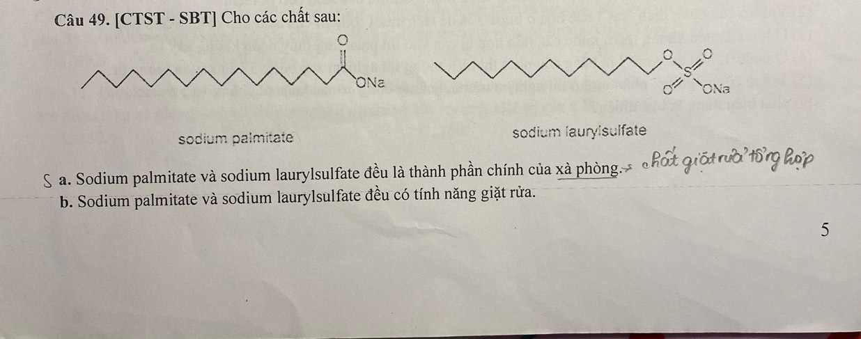 [CTST - SBT] Cho các chất sau: 
sodium palmitate sodium lauryisulfate 
a. Sodium palmitate và sodium laurylsulfate đều là thành phần chính của xà phòng. 
b. Sodium palmitate và sodium laurylsulfate đều có tính năng giặt rửa. 
5