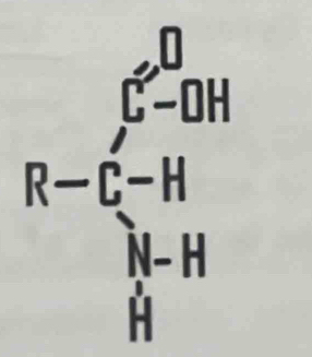 underline 
C-DH
R-C-H
N-H
H