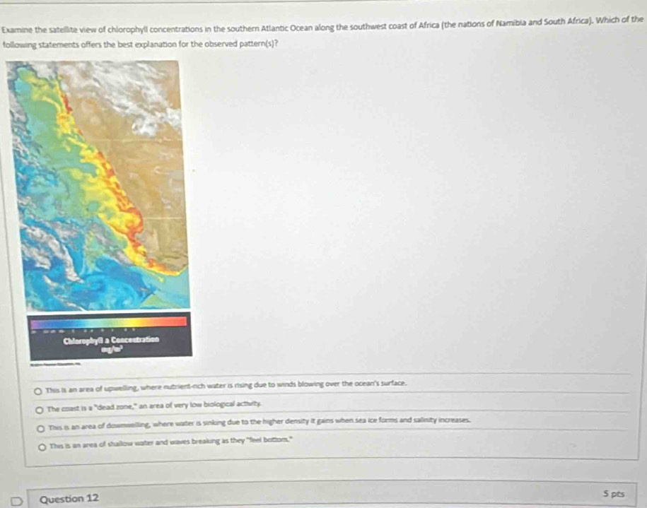 Examine the satellite view of chlorophyll concentrations in the southern Atlantic Ocean along the southwest coast of Africa (the nations of Namibia and South Africa). Which of the
following statements offers the best explanation for the observed pattern(s)?
This is an area of upwelling, where nutrient-rch water is rising due to winds blowing over the ocean's surface.
The coast is a "dead zone," an area of very low biological activity.
This is an area of downwelling, where water is sinking due to the higher density it gains when sea ice forms and salinity increases.
This is an area of shallow water and waves breaking as they "feel bottom."
Question 12 5 pts