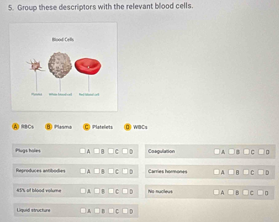 Group these descriptors with the relevant blood cells.
A RBCs B Plasma C Platelets D WBCs
Plugs holes A C D Coagulation A B
Reproduces antibodies Carries hormones
a
45% of blood volume A B C No nucleus
Liquid structure