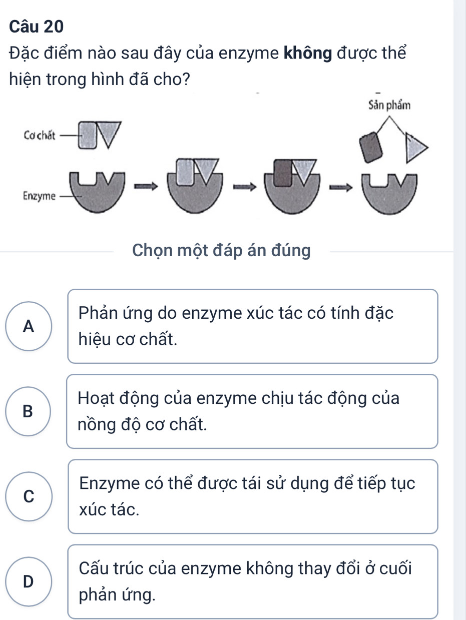 Đặc điểm nào sau đây của enzyme không được thể
hiện trong hình đã cho?
Chọn một đáp án đúng
Phản ứng do enzyme xúc tác có tính đặc
A
hiệu cơ chất.
Hoạt động của enzyme chịu tác động của
B
nồng độ cơ chất.
Enzyme có thể được tái sử dụng để tiếp tục
C
xúc tác.
Cấu trúc của enzyme không thay đổi ở cuối
D
phản ứng.