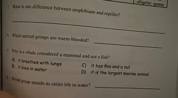 alligator, iguana
1 What is one difference between amphibians and reptiles?
_
_
X Which animal groups are warm-blooded?
9 Why is a whale considered a mammal and not a fish?
A) it breathes with lungs C) it has fins and a tail
B) it lives in water
D) it is the largest marine animal
_
Which group spends its entire life in water?