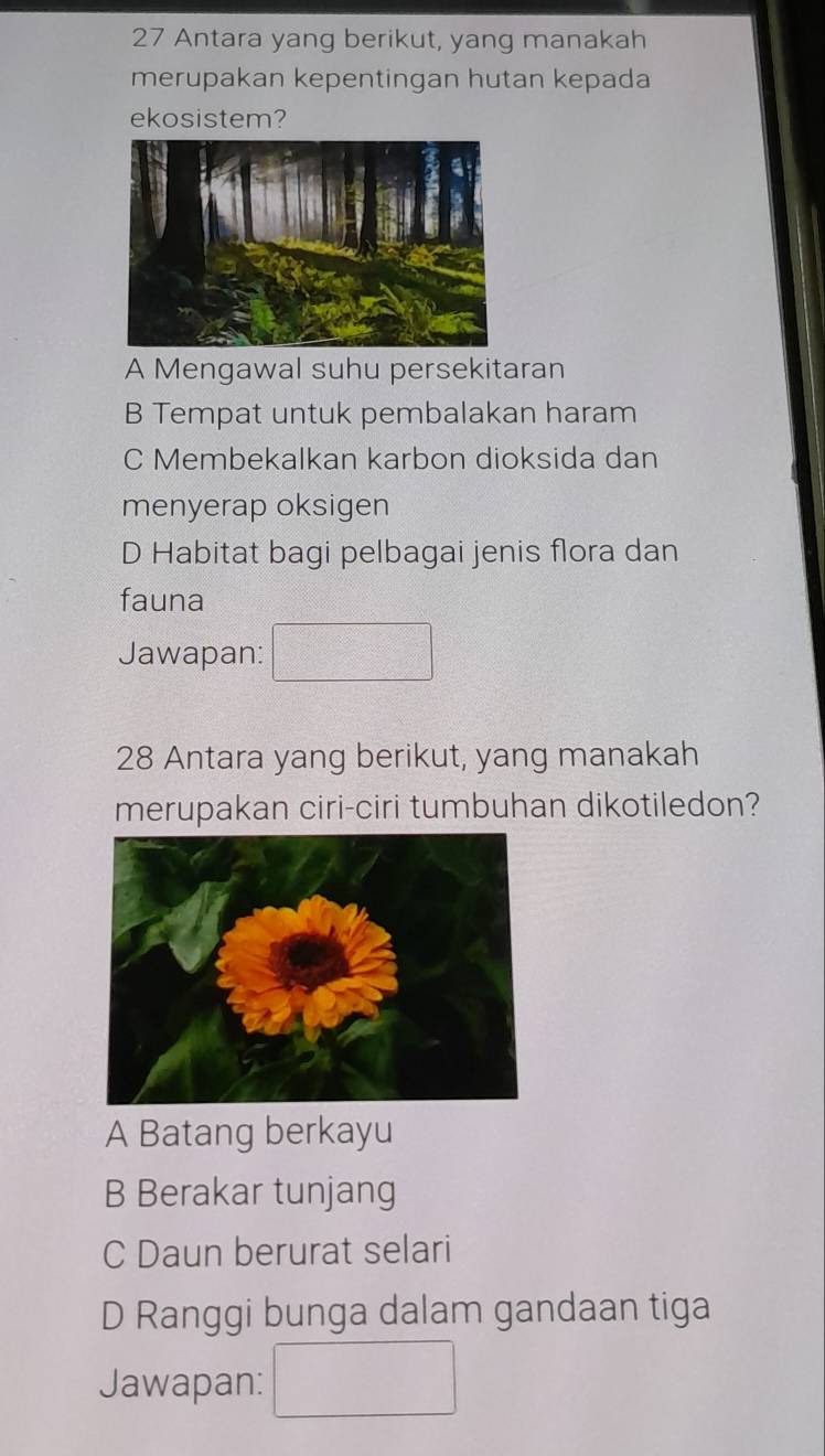 Antara yang berikut, yang manakah
merupakan kepentingan hutan kepada
ekosistem?
A Mengawal suhu persekitaran
B Tempat untuk pembalakan haram
C Membekalkan karbon dioksida dan
menyerap oksigen
D Habitat bagi pelbagai jenis flora dan
fauna
Jawapan:
28 Antara yang berikut, yang manakah
merupakan ciri-ciri tumbuhan dikotiledon?
A Batang berkayu
B Berakar tunjang
C Daun berurat selari
D Ranggi bunga dalam gandaan tiga
Jawapan: