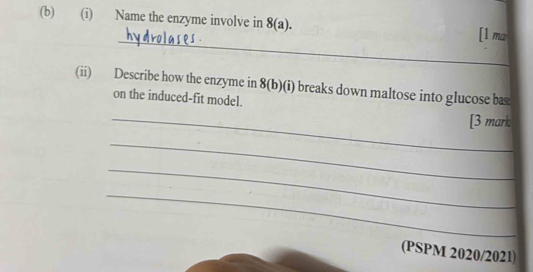 Name the enzyme involve in 8 (a). [1 ma 
_ 
(ii) Describe how the enzyme in 8 (b)(i) breaks down maltose into glucose bas 
on the induced-fit model. 
_[3 mark 
_ 
_ 
_ 
(PSPM 2020/2021)