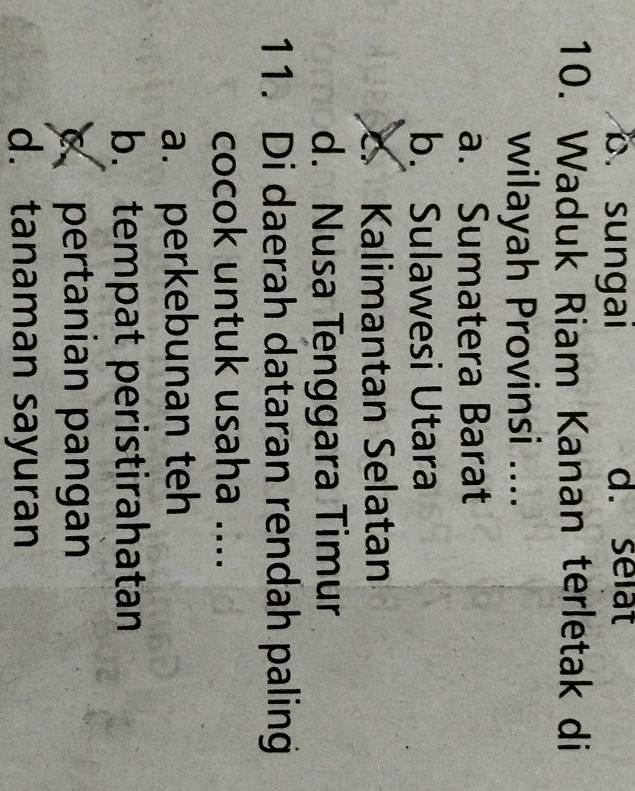 b. sungai d. selat
10. Waduk Riam Kanan terletak di
wilayah Provinsi ....
a. Sumatera Barat
b. Sulawesi Utara. Kalimantan Selatan
d. Nusa Tenggara Timur
11. Di daerah dataran rendah paling
cocok untuk usaha ....
a. perkebunan teh
b. tempat peristirahatan
pertanian pangan
d. tanaman sayuran