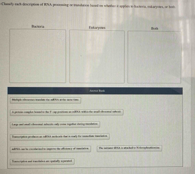 Classify each description of RNA processing or translation based on whether it applies to bacteria, eukaryotes, or both 
Bacteria Eukaryotes Both 
Amwer Bank 
Multigle ribosomes translate the mRNA at the same time. 
A. protria comples houed to the 5 'cap position an mSUNA. woth is the small rbosomal ubu sit 
Large and wall ribosonal suberits oally come togther during casslation 
Tratucription produces an mRNA molocae that is neady for inodine iaslation. 
mNA can he circullarized to improve the effirsomsy of tramiation The isiriator 6NA, is atacled to N-forig boctition ine 
Trascription and teanslation are spatally segarated