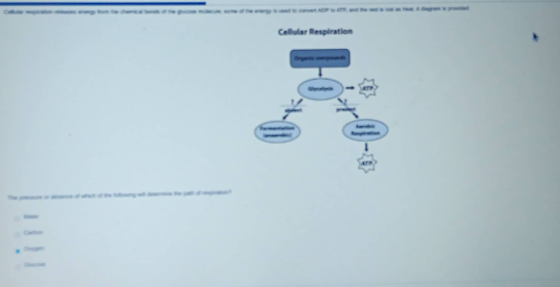 Celutar respiration neleases envergy from the chemical bonds of the glucose mollecute, some of the energy is used to convert ACP is ATP, and the rest is lost as head. A diagiam is provided
The pressure or absece of which of the tollowing will deternine the peft of repnasor"
Nation
Catton
Deoges