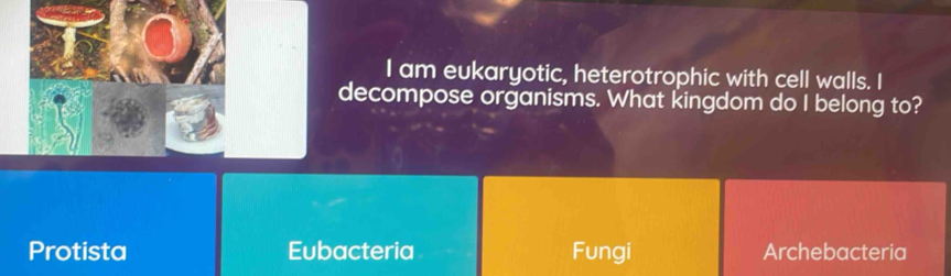 am eukaryotic, heterotrophic with cell walls. I
decompose organisms. What kingdom do I belong to?
Protista Eubacteria Fungi Archebacteria