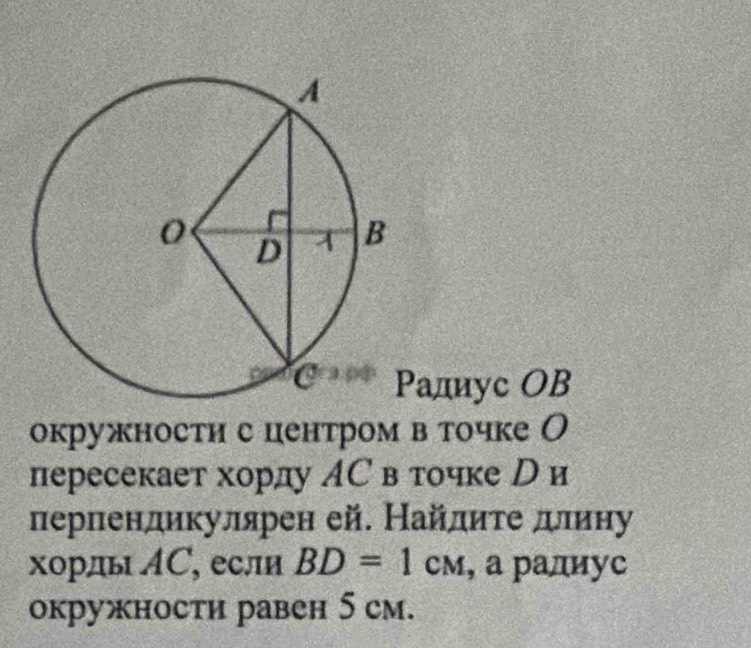 адиуc OB 
окружности с центром в точке О 
пересекает хорду МС в точке р и 
перпендикулярен ей. Найдиτе длину 
хорды ΑС, если BD=1cm , а радиус 
окружности равен 5 cм.