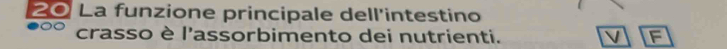 La funzione principale dell'intestino 
crasso è l'assorbimento dei nutrienti. V F