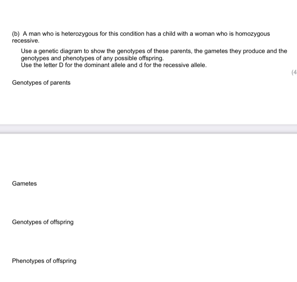 A man who is heterozygous for this condition has a child with a woman who is homozygous
recessive.
Use a genetic diagram to show the genotypes of these parents, the gametes they produce and the
genotypes and phenotypes of any possible offspring.
Use the letter D for the dominant allele and d for the recessive allele.
(4
Genotypes of parents
Gametes
Genotypes of offspring
Phenotypes of offspring