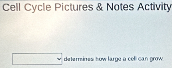 Cell Cycle Pictures & Notes Activity 
determines how large a cell can grow.