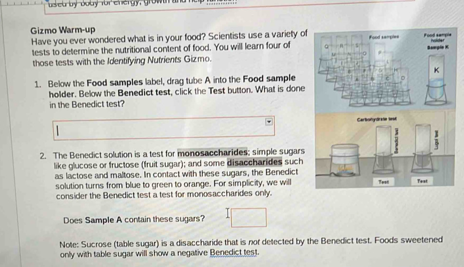 ased by bob y for energy, grow n 
Gizmo Warm-up 
Have you ever wondered what is in your food? Scientists use a variety of 
tests to determine the nutritional content of food. You will learn four of 
those tests with the Identifying Nutrients Gizmo. 
1. Below the Food samples label, drag tube A into the Food sample 
holder. Below the Benedict test, click the Test button. What is done 
in the Benedict test? 
2. The Benedict solution is a test for monosaccharides; simple sugars 
like glucose or fructose (fruit sugar); and some disaccharides such 
as lactose and maltose. In contact with these sugars, the Benedict 
solution turns from blue to green to orange. For simplicity, we will 
consider the Benedict test a test for monosaccharides only. 
Does Sample A contain these sugars? 
Note: Sucrose (table sugar) is a disaccharide that is not detected by the Benedict test. Foods sweetened 
only with table sugar will show a negative Benedict test.