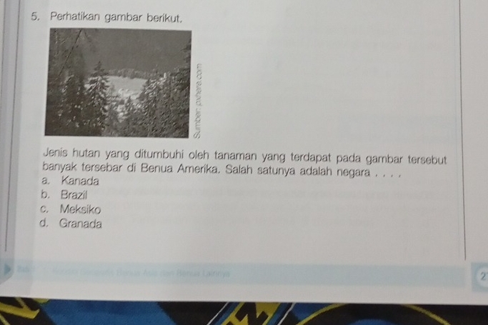 Perhatikan gambar berikut.
Jenis hutan yang ditumbuhi oleh tanaman yang terdapat pada gambar tersebut
banyak tersebar di Benua Amerika. Salah satunya adalah negara . . . .
a. Kanada
b. Brazil
c. Meksiko
d. Granada
ainng
2