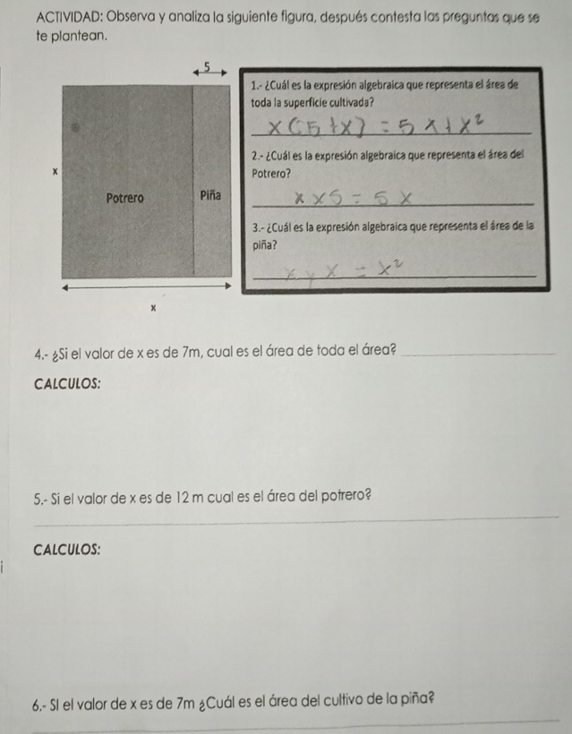 ACTIVIDAD: Observa y analiza la siguiente figura, después contesta las preguntas que se 
te plantean. 
1.- ¿Cuál es la expresión algebraica que representa el área de 
toda la superficie cultivada? 
_ 
2.- ¿Cuál es la expresión algebraica que representa el área del 
Potrero? 
_ 
3.- ¿Cuál es la expresión algebraica que representa el área de la 
piña? 
_ 
4.- ¿Si el valor de x es de 7m, cual es el área de toda el área?_ 
CALCULOS: 
5.- Si el valor de x es de 12 m cual es el área del potrero? 
CALCULOS: 
6.- Sl el valor de x es de 7m ¿Cuál es el área del cultivo de la piña?