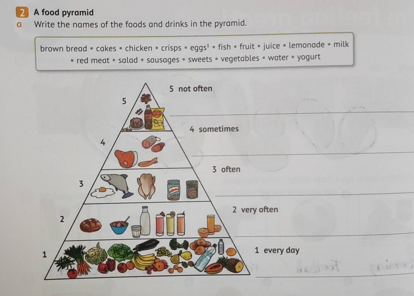 A food pyramid 
a Write the names of the foods and drinks in the pyramid. 
brown bread • cakes • chicken • crisps • eggs¹ • fish • fruit • juice • lemonade • milk 
red meat • salad • sausages • sweets • vegetables • water • yogurt 
_ 
__ 
_ 
_ 
often 
_ 
every day 
_