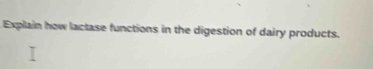 Explain how lactase functions in the digestion of dairy products.