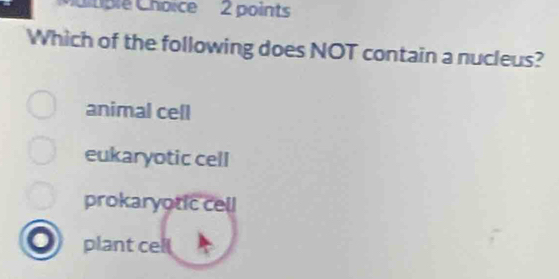 iiple Choice 2 points
Which of the following does NOT contain a nucleus?
animal cell
eukaryotic cell
prokaryotic cell
plant cell