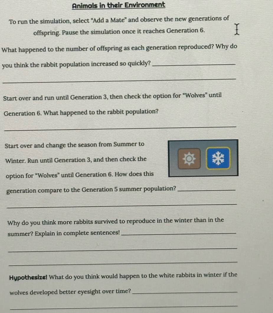 Animals in their Environment 
To run the simulation, select 'Add a Mate' and observe the new generations of 
offspring. Pause the simulation once it reaches Generation 6. 
What happened to the number of offspring as each generation reproduced? Why do 
you think the rabbit population increased so quickly?_ 
_ 
Start over and run until Generation 3, then check the option for “Wolves” until 
Generation 6. What happened to the rabbit population? 
_ 
Start over and change the season from Summer to 
Winter. Run until Generation 3, and then check the 
option for “Wolves” until Generation 6. How does this 
generation compare to the Generation 5 summer population?_ 
_ 
Why do you think more rabbits survived to reproduce in the winter than in the 
summer? Explain in complete sentences!_ 
_ 
_ 
Hypothesize! What do you think would happen to the white rabbits in winter if the 
wolves developed better eyesight over time?_ 
_