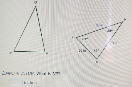 △ NPO≌ △ TUV What is NP?
□ inches