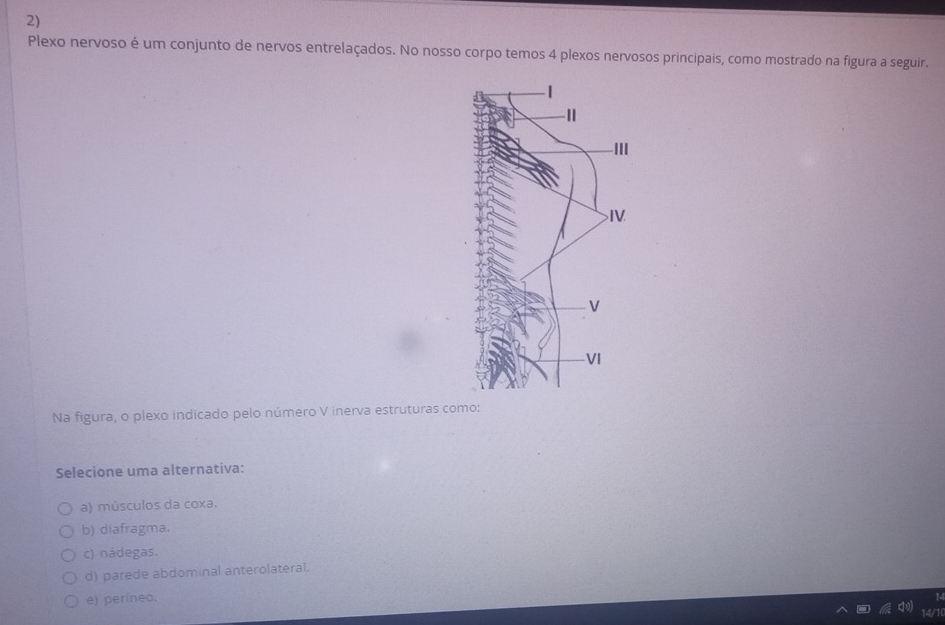 Plexo nervoso é um conjunto de nervos entrelaçados. No nosso corpo temos 4 plexos nervosos principais, como mostrado na figura a seguir.
Na figura, o plexo indicado pelo número V inerva estruturas como:
Selecione uma alternativa:
a) músculos da coxa.
b) diafragma.
c) nádegas.
d) parede abdominal anterolateral.
e) períneo.
14/1