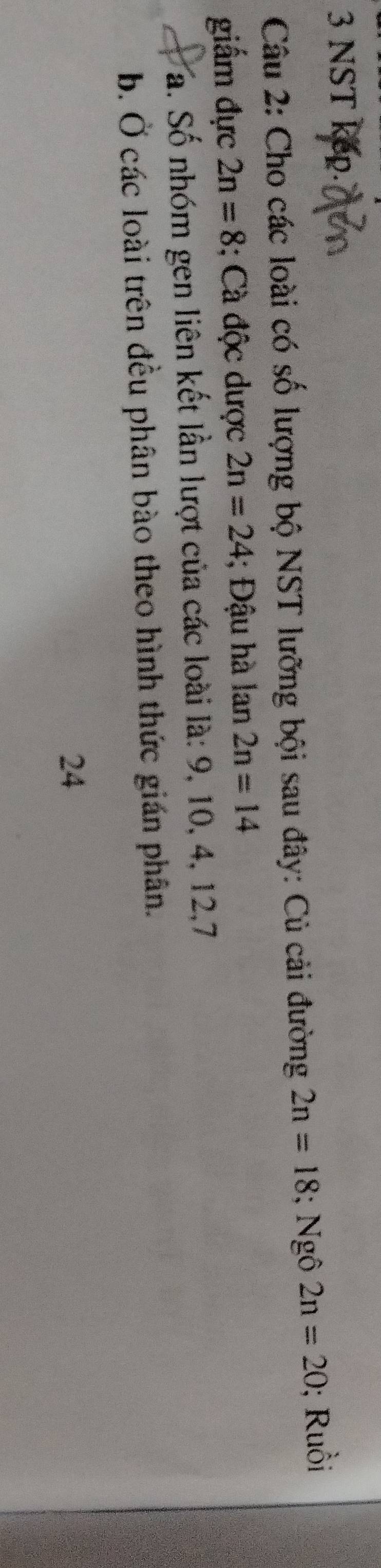 NST kep. 
Câu 2: Cho các loài có số lượng bộ NST lưỡng bội sau đây: Củ cải đường 2n=18; Ngô 2n=20; Ruồi 
giẩm đực 2n=8; Cà độc dược 2n=24; Đậu hà lan 2n=14
a. Số nhóm gen liên kết lần lượt của các loài là: 9, 10, 4, 12, 7
b. Ở các loài trên đều phân bào theo hình thức gián phân. 
24