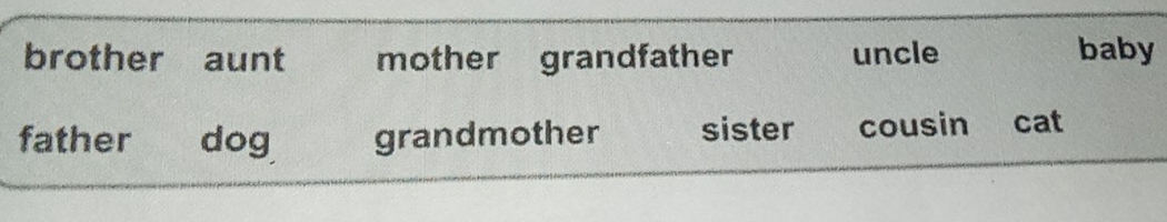 brother aunt mother grandfather uncle baby
father dog grandmother sister cousin cat