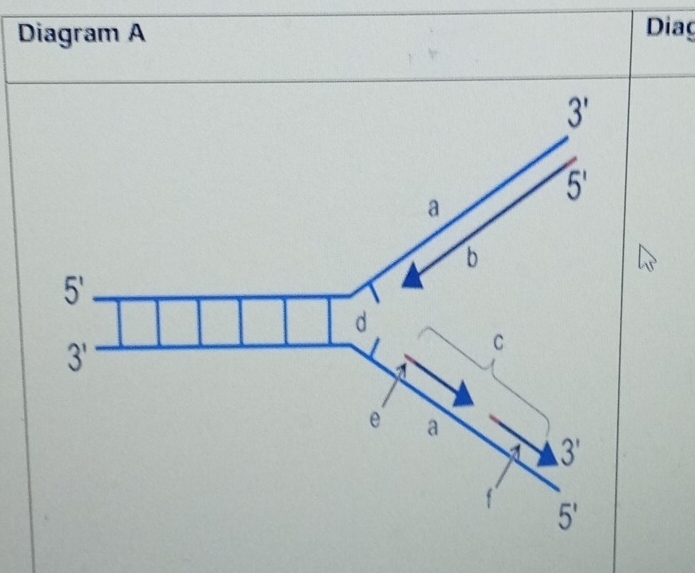 Diagram A
Diag