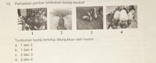 Perhatikan gambar tumbuhan berbiji berikut!
1 2
3 4
Tumbuhan berbiji tertutup ditunjukkan oleh nomor ....
a. 1 dan 2
b. 1 dan 4
c. 2 dan 3
d. 2 dan 4