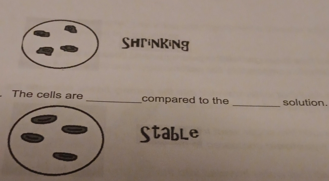 ShriNkiNg 
. The cells are_ compared to the _solution. 
Stable