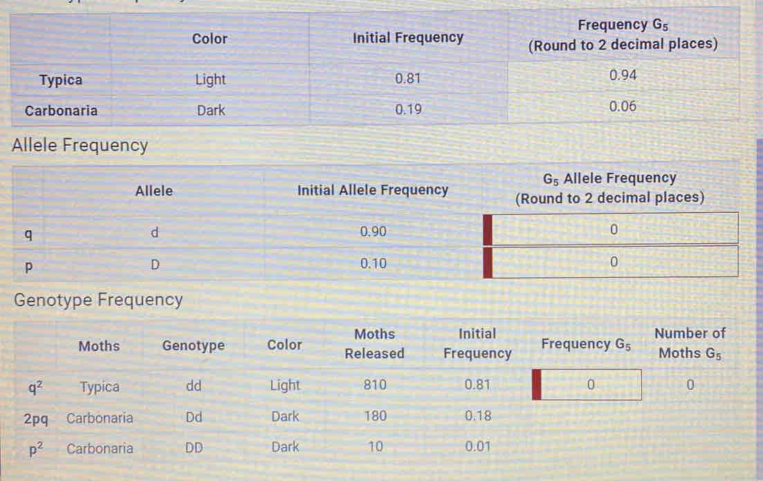 Allele Initial Allele Frequency (Round to 2 decimal places)
q
d 0.90
P
D 0.10
Genotype Frequency
Moths Initial Number of
Moths Genotype Color Released Frequency Frequency G_5 Moths G_5
q^2 Typica dd Light 810 0.81 0 0
2pq Carbonaria Dd Dark 180 0.18
p^2 Carbonaria DD Dark 10 0.01