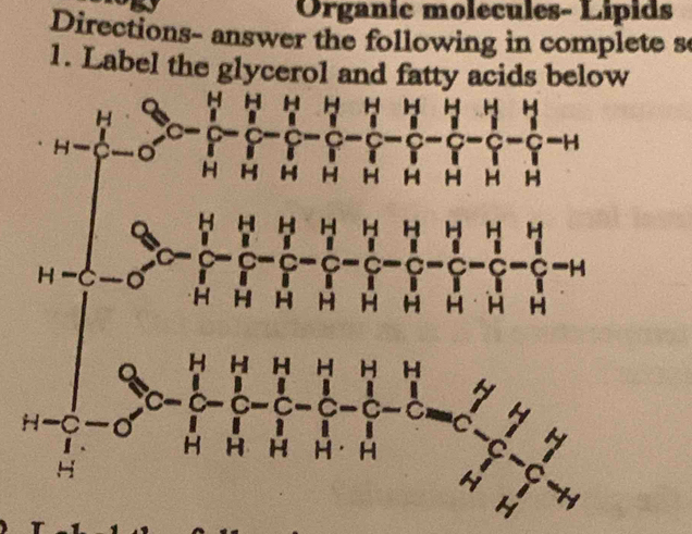 Organic molecules- Lipids
Directions- answer the following in complete s
1. Label the glycerol and fa
H=beginarrayl 90- 1/2 - 1/2 - 1/3 - 1/4 - 1/3 - 1/4 - 1/3 - 1/4 > 1/4 4> 1/4 >15-frac 4- 1/4 - 1/4 - 1/4 - 1/4 