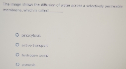 The image shows the diffusion of water across a selectively permeable
membrane, which is called __.
pinocytosis
active transport
hydragen pump
osmosis