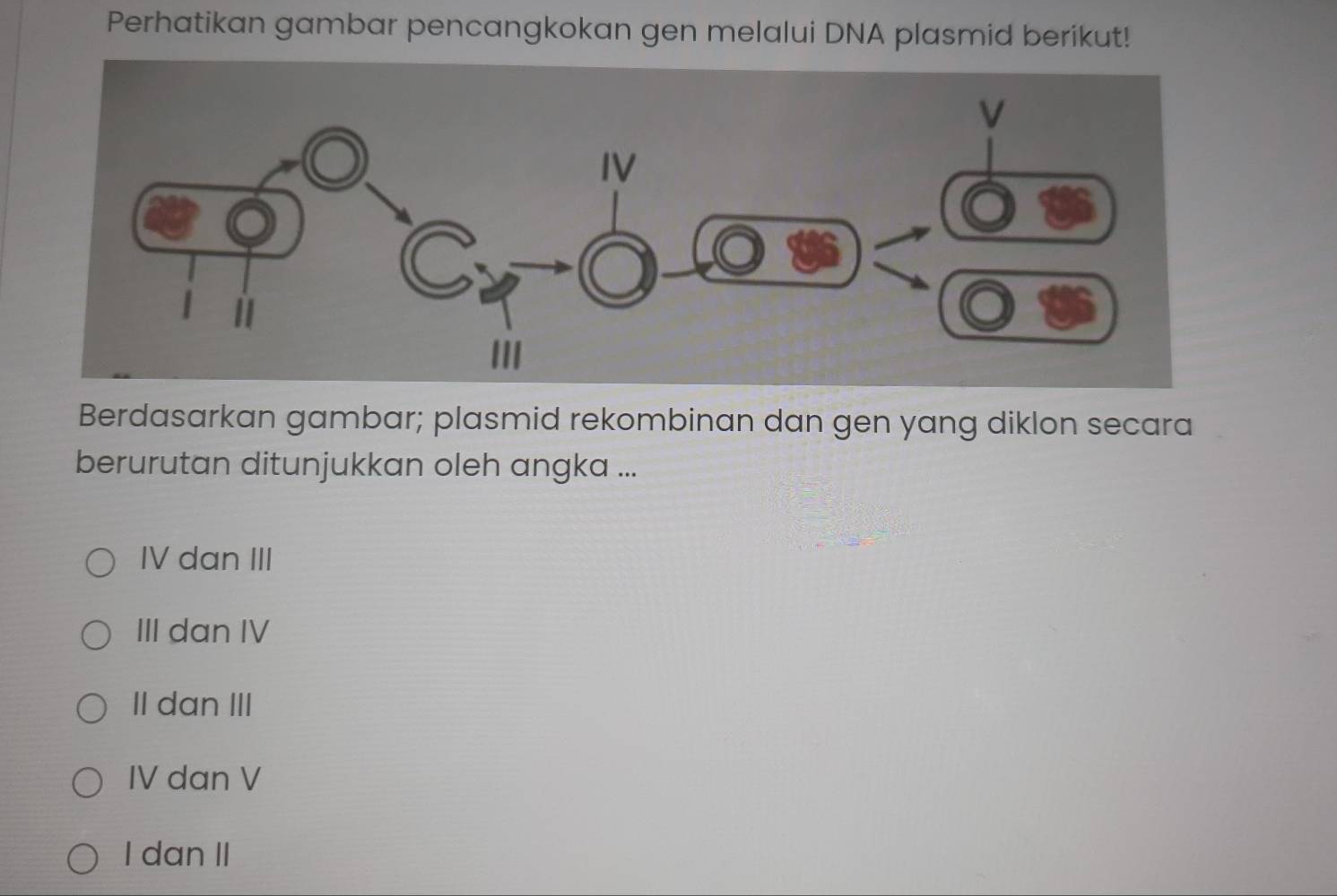 Perhatikan gambar pencangkokan gen melalui DNA plasmid berikut!
Berdasarkan gambar; plasmid rekombinan dan gen yang diklon secara
berurutan ditunjukkan oleh angka ...
IV dan III
III dan IV
I dan III
IV dan V
I dan II