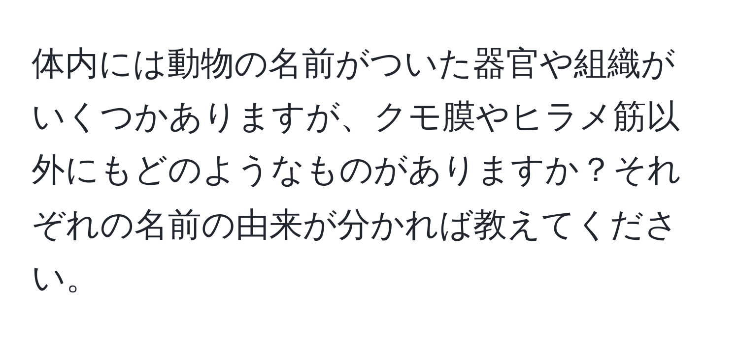 体内には動物の名前がついた器官や組織がいくつかありますが、クモ膜やヒラメ筋以外にもどのようなものがありますか？それぞれの名前の由来が分かれば教えてください。