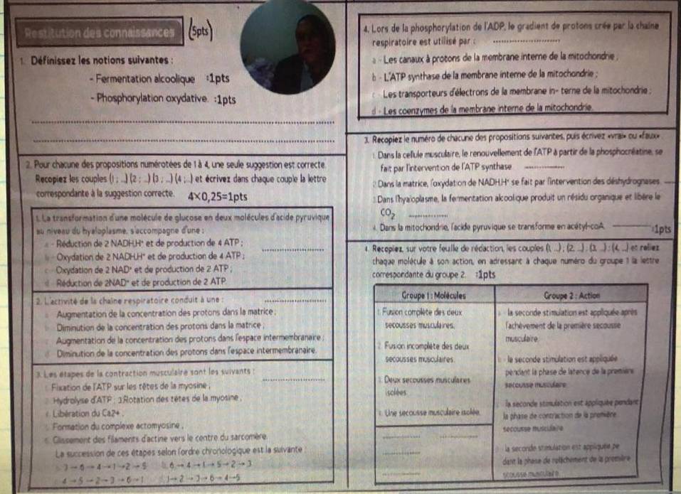 Restitution des connaissances 4. Lors de la phosphorylation de l'ADP, le gradient de protons crée par la chaîne
respiratoire est utilisé par :_
1  Définissez les notions suivantes : -  Les canaux à protons de la membrane interne de la mitochondrie ;
-  Fermentation alcoolique =1pts b - L'ATP synthase de la membrane interne de la mitochondrie ;
- Phosphorylation oxydative. :1pts Les transporteurs d'électrons de la membrane in- terne de la mitochondrie :
_
d« Les coenzymes de la membrane interne de la mitochondrie
_3. Recopiez le numéro de chacune des propositions suivantes, puis écrívez «vrai» ou «faux»
: Dans la cefule musculaire, le renouvellement de l'ATP à partir de la phosphocréatine, se
2. Pour chacune des propositions numérotées de 1 à 4, une seule suggestion est correcte. fait par l'intervention de l'A overline IP synthase   _
Recopíez les couples (1;_ )(2;_ )(3;_ )(4;_ ) et écrivez dans chaque couple la lettre :: Dans la matrice, l'oxydation de NADH.H' se fait par l'intervention des déshydrognases_
correspondante à la suggestion correcte. 4* 0,25=1pts :Dans l'hyaïoplasme, la fermentation alcoolique produit un résidu organique et libère le
. La transformation d'une molécule de glucose en deux molécules d'acide pyruvique CO_2 _
au niveau du hyaloplasme, s'accompagne d'une ;  4 . Dans la mitochondrie, l'acide pyruvique se transforme en acétyl-coA. _1pts
- Réduction de 2 NADHH° et de production de 4 ATP ; _ 4. Recepiez, sur votre feuile de rédaction, les couples (L..):(2._ ):(3._ ):(4._ ) et rolie
Oxydation de 2 NADHH' et de production de 4 ATP ; chaque molécule à son action, en adressant à chaque numéro du groupe 1 la lettre
Oxydation de 2 NAD' et de production de 2 ATP ; 
Réduction de 2NAD' et de production de 2 ATP.
2. L'activité de la chaîne respiratoire conduit à une : _
Augmentation de la concentration des protons dans la matrice : 
Diminution de la concentration des protons dans la matrice ; 
Augmentation de la concentration des protons dans l'espace intermembranaire ; 
Diminution de la concentration des protons dans lespace intermembranaire. 
3 Les étapes de la contraction musculaire sont les suivants :
Fixation de l'ATP sur les têtes de la myosine ;
Hydrolyse d'ATP : 1 Rotation des têtes de la myosine , 
Libération du Ca2+.
Formation du complexe actomyosine , 
Glissement des filaments d'actine vers le centre du sarcomère.
La succession de ces étapes selon fordre chronologique est la suivante
=3-6to 4to 1to 2to 9 6to 4to 1to 5to 2to 3
4to 5to 2to 3to 6to 1 1to 2to 2to 6to 4to 5